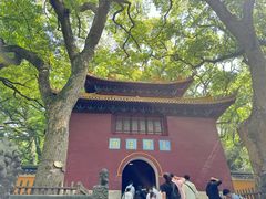 -普陀山风景名胜区-法雨禅寺