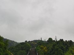 -铁山坪森林公园