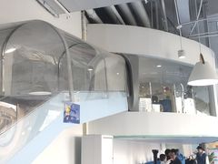 -澳洲袋鼠早教(南二环店)