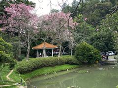 -火炉山森林公园