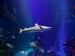 -沈阳海洋探索中心