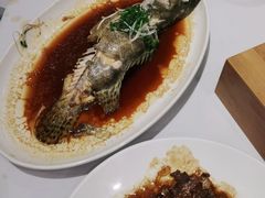 -紫光园·烤鸭·北京菜(劲松店)