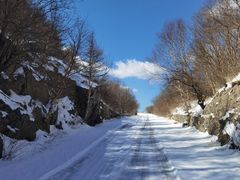 -白草畔自然风景区