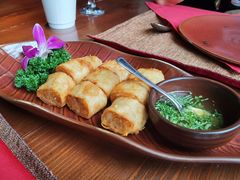 -花马天堂云南餐厅 Lost Heaven(外滩店)