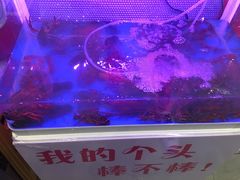 -川流不息·地道川菜·小龙虾(新松江路店)
