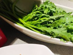 -海底捞火锅(同泰时代广场夜宵主题店)
