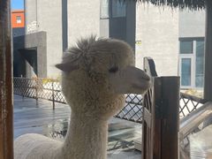 -北京远航国际酒店