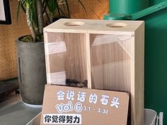 -绿壁虎攀岩基地(Tcar店)