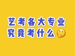 -天籁艺术高考培训学校·重庆艺考集训