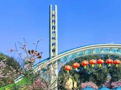 -南山植物园