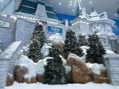 -湘江欢乐城欢乐雪域