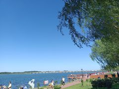 -丁香湖公园