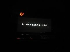 -枫花园汽车电影院(朝阳公园店)