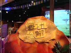 -珠海横琴国家地理探险家中心(创新方)