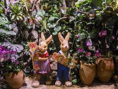 -正佳雨林生态植物园