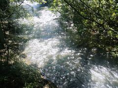 -阿哈湖国家湿地公园