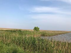 -盐城丹顶鹤湿地生态旅游区