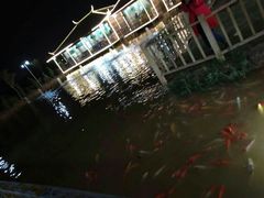 -一煲鸽