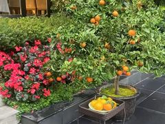 -茅庐·川粤精品私房菜(金沙遗址店)