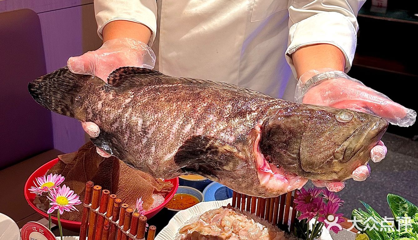大连!首家!可以吃到深海龙趸鱼🐟的店!