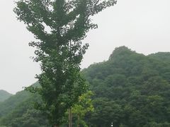 -丹东天桥沟景区