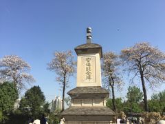 -西安青龙寺遗址景区