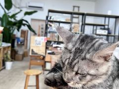 -五月木作·DIY木作文创体验店(北京路店)