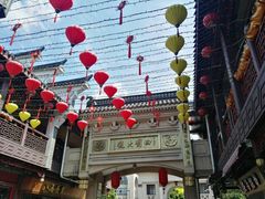 -王阿姨文昌油赞子(府桥街店)
