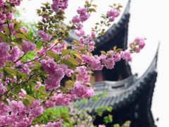 -龙华寺