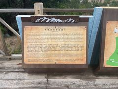 -米堆冰川