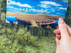 -莫尔道嘎国家森林公园