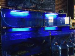 -姜君·千岛湖鱼头馆(浦东大道店)