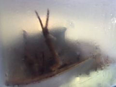 -海之鲜大排档(东山海鲜金銮湾店)