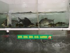 -七的湖·晚芳亭·阳澄湖农家菜·大闸蟹(莲花岛店)