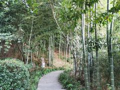-天目湖涵田半山温泉