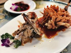 松鼠桂鱼-新聚丰菜馆(太监弄店)