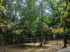 -上海佘山国家森林公园天马山园