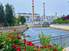 -东港音乐喷泉广场