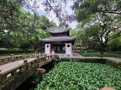 -惠山古镇·寄畅园