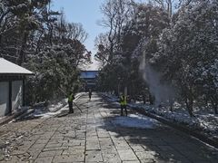 -灵谷景区