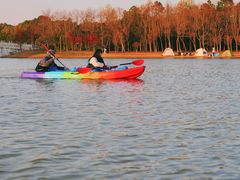 -上海海湾国家森林公园