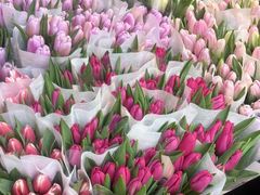 -循礼门鲜花花市(武汉循礼门店)