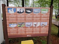 -宁波杭州湾国家湿地公园