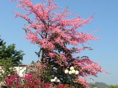 iphone_upload_pic-广州大学(桂花岗校区)