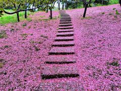 -大连植物园