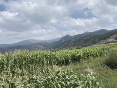 -敕勒川草原文化旅游区