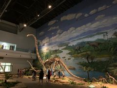 -自贡恐龙博物馆