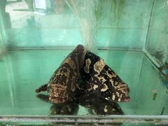 -蚝乡农庄(铁涌赤岸店)