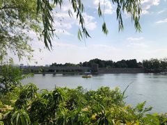 -泰山风景名胜区-虎山公园
