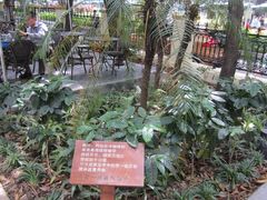 门面-星巴克臻选(广州沙面店)